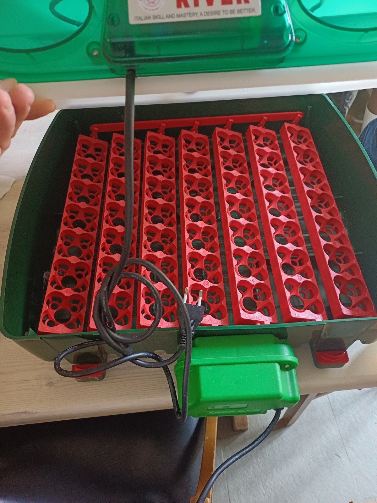 incubatrice uova automatica