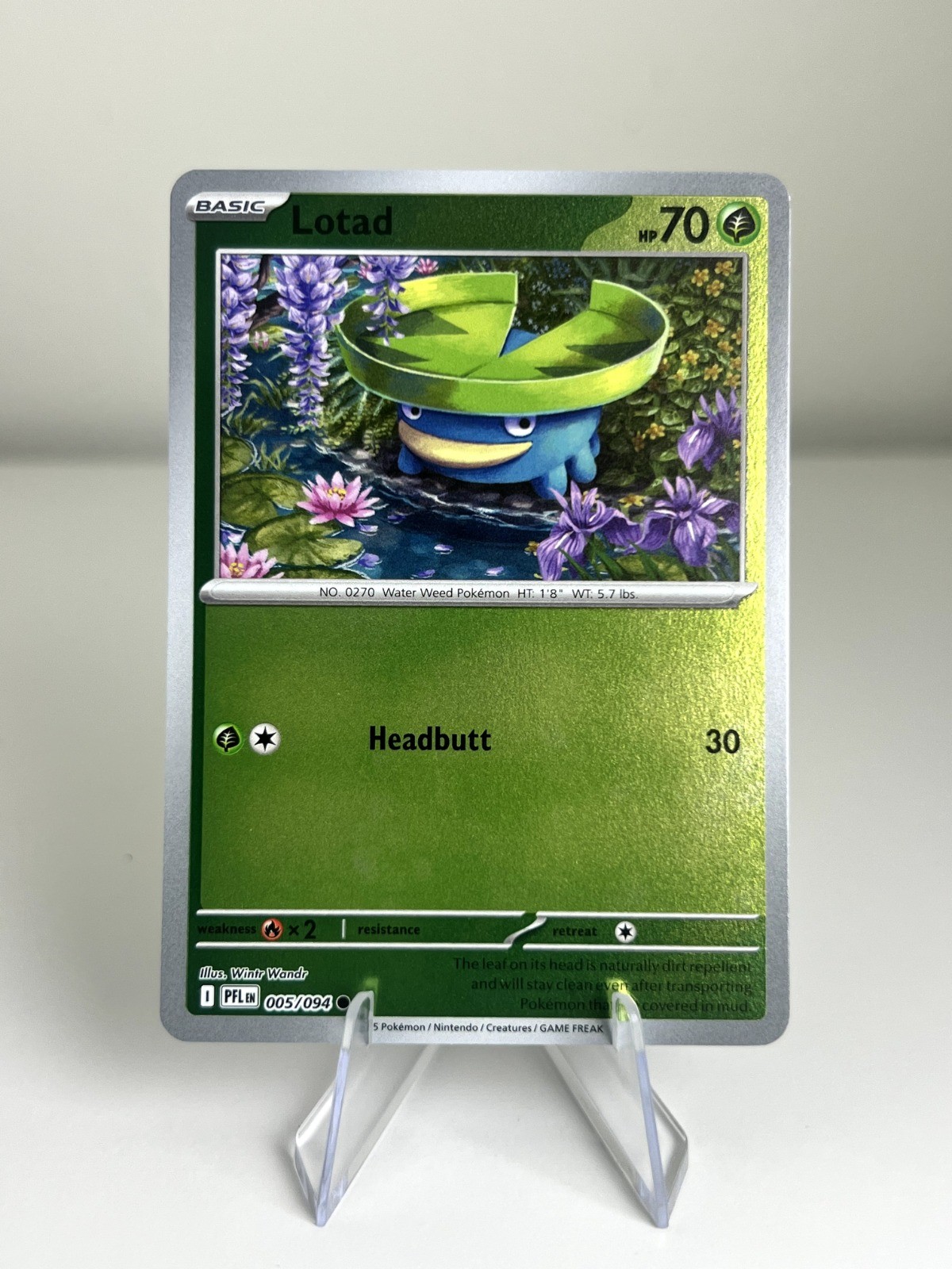 Lotad Reverse Holo Common ME02: Phantasmal Flames 005/094 NM
