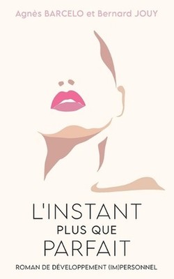 L'Instant Plus Que Parfait: Roman de d?veloppement (im)personnel by Bernard Jouy