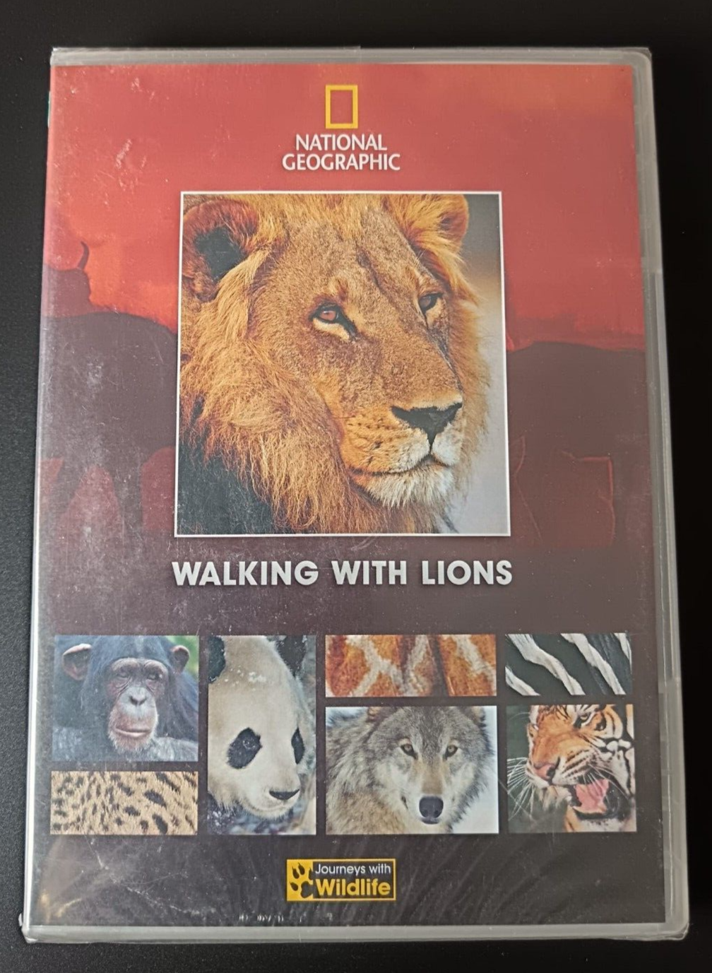 NATIONAL GEOGRAPHIC: WALKING WITH LIONS - DVD - NEW SEALED