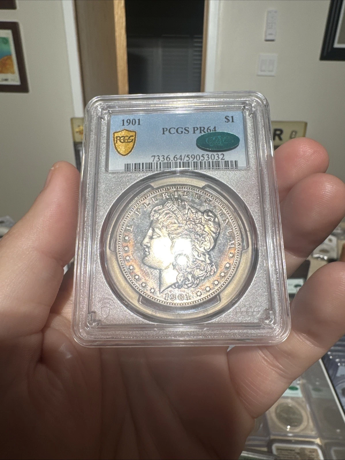 1901 PROOF Morgan Silver Dollar $1 PCGS PR 64 CAC - Gorgeous Coin!