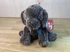 2001 FRISBEE the Weimaraner Dog - Ty Beanie Babies - MINT CONDITION