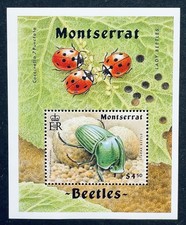 MONTSERRAT BEETLES STAMPS SS MNH 1994 LADYBUG SCARAB BEETLE INSECT WILDLIFE BUG