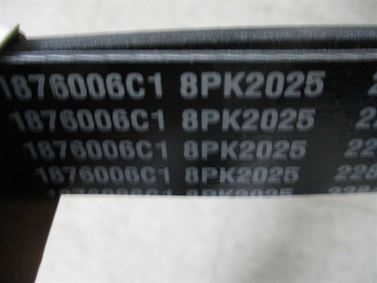 1876006C1 NEW FLEETRITE 8PK2025 SERPENTINE BELT REPLACES 1876006C1 NEW FLEETRITE 8PK2025 SERPENTINE BELT REPLACES