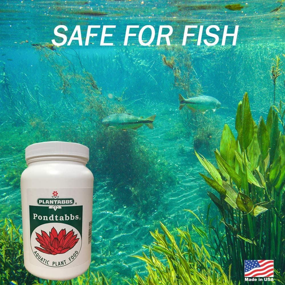 Pondtabbs Aquatic Plant Fertilizer 10148 60 CT 176 eBay