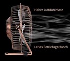 Bild 6 von 11