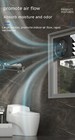 Bild 11 von 17