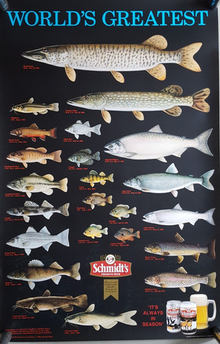 Vintage 1995 Schmidt Beer Poster Fish World Records Worlds Greatest 36 x 24 Inch