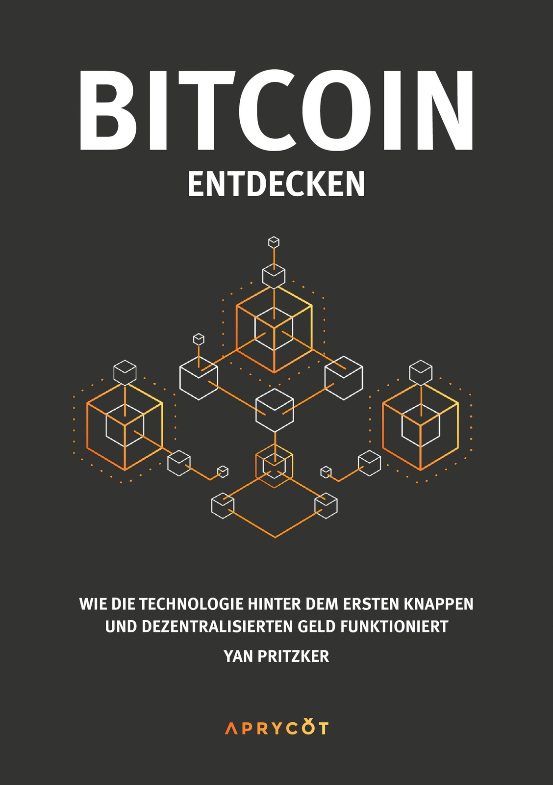 Bitcoin Entdecken, Yan Pritzker