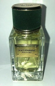 dolce and gabbana velvet vetiver
