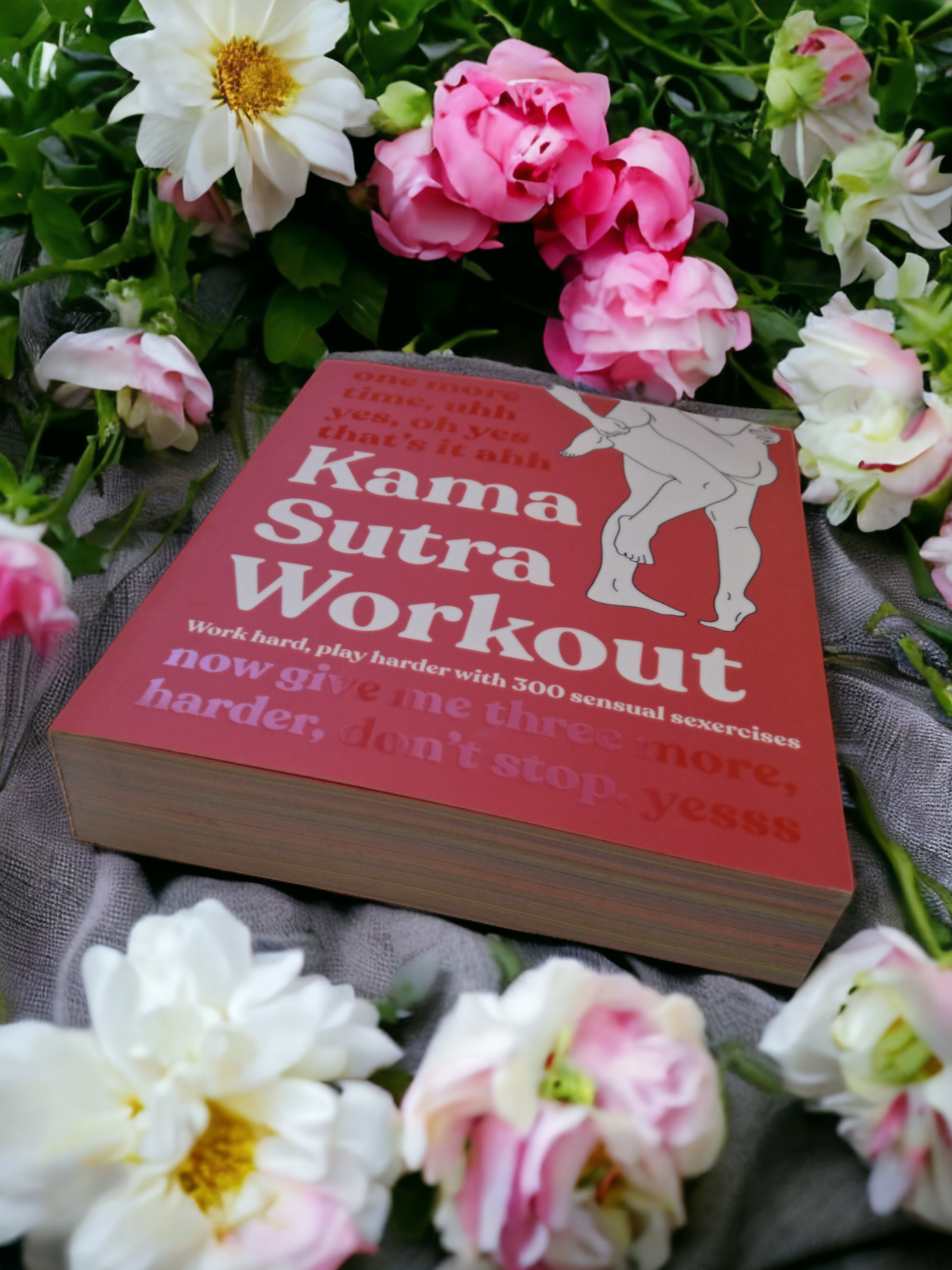 Kama Sutra Workout New Edition: Work Hard, Play Harder with 300 Sensual Sexerci - Image 5