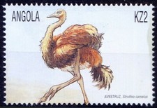 Angola 2000 MNH, Ostrich Flightless Birds