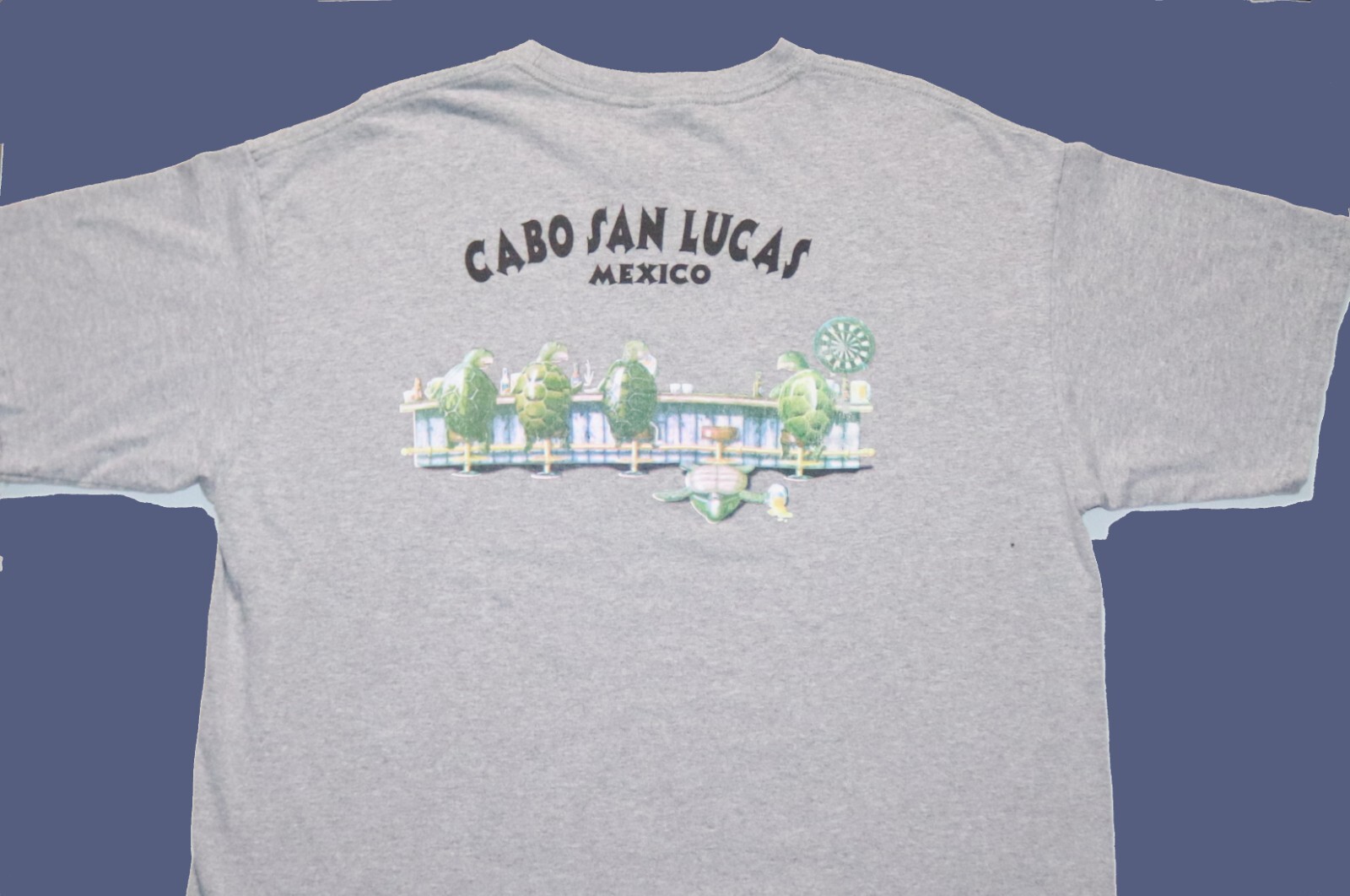 Cabo San Lucas Mexico Drinking Turtles Beer Bar Graph… Gem