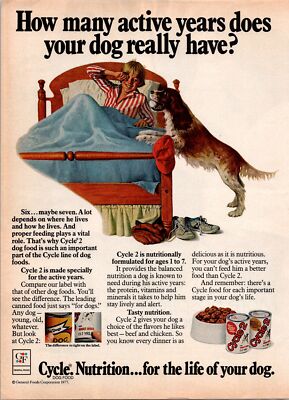 Dog's Life If A Dog Is How Old Is It In Human Years 5+