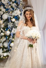 Wedding gown with matching veil 