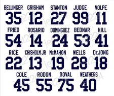 NY Yankees STICKER DECAL 2026 Judge Stanton Bellinger Fried Rodon Volpe Grisham