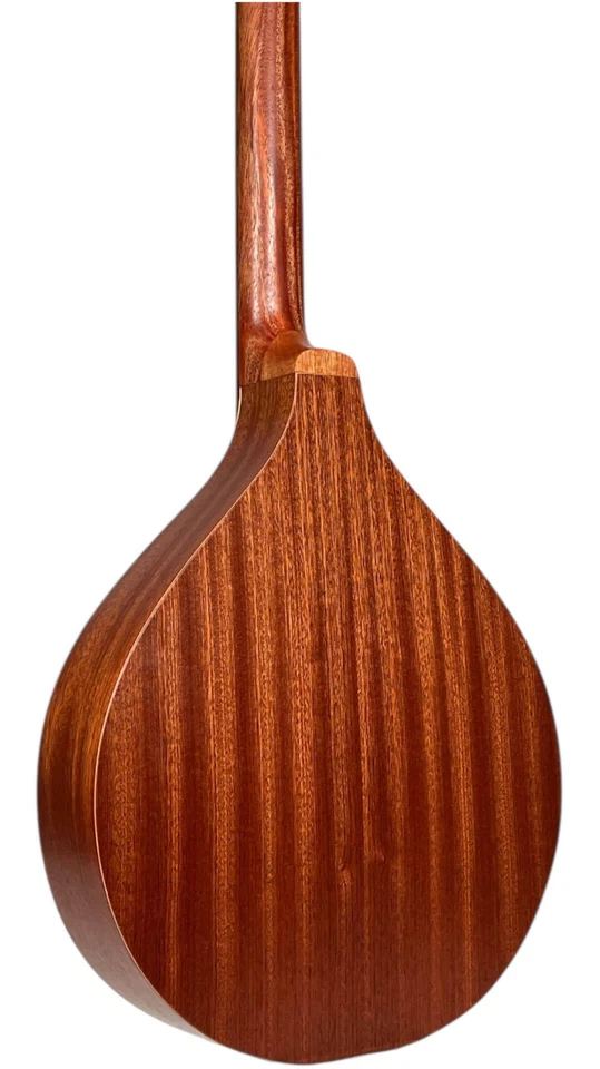 APC IRB305 Irish Bouzouki - Solid Spruce Top & Sapelli Back and Sides - Image 4 of 4