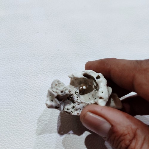 Vintage Coral Polished Rough Loose Gemstone Natural Japanese White Coral Rough - Picture 7 of 18