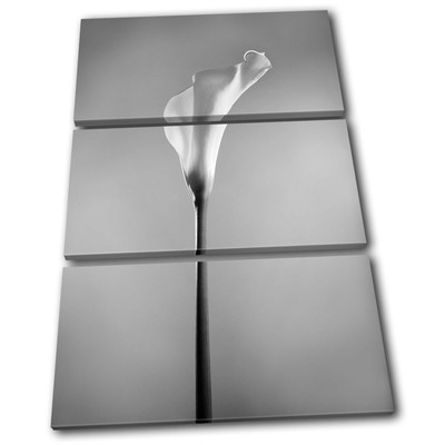Calla Lily Flowers Floral TREBLE Leinwand Wand Kunst Bild drucken