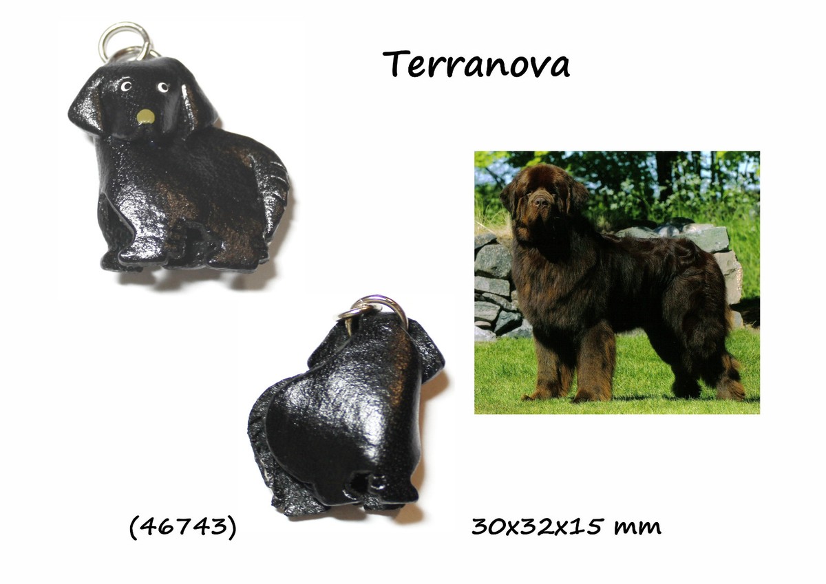 THE D O G キーチェン16個まとめ売り Unisex Leather Keychain 3D Dog Breed Newfoundland | eBay
