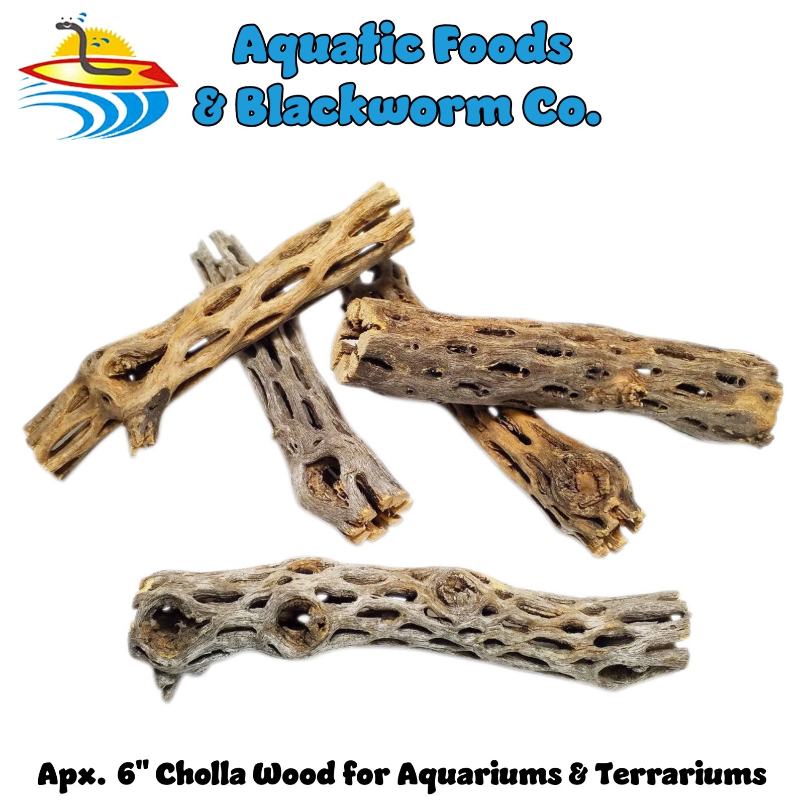 6" Cholla Wood for Freshwater Shrimp