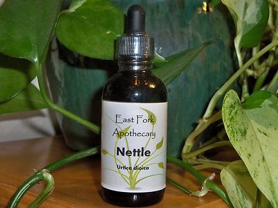 Nettle Tincture 2 oz. Wildcrafted