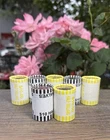 New ListingLot of (5) Unsearched Kennedy Half Dollar Bank Rolls $50 Face Value