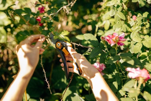 Fiskars Bypass-Gartenschere, Plus SmartFit, P541, Für frische Äste und Zweige - Bild 11 von 12