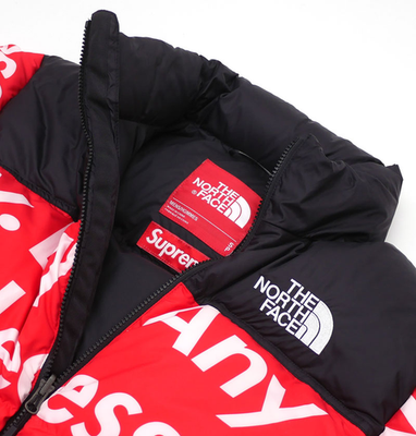 Supreme The North Face By Any Means Necessary BAMN Nuptse Red Size