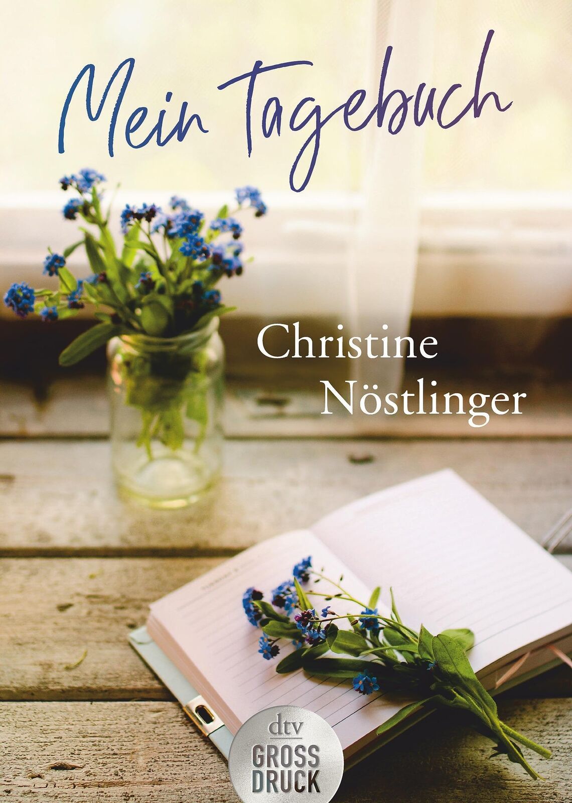 Thumbnail - Mein Tagebuch | Christine Nöstlinger | Taschenbuch | Dtv- Großdruck |
