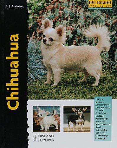 Chihuahua (Excellence)