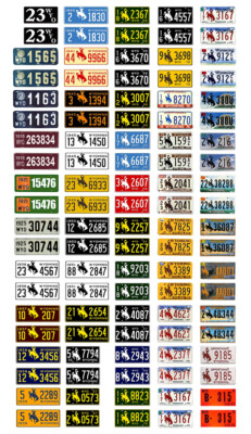 1/18 scale model car assorted USA Wyoming license plates state tags 1:18
