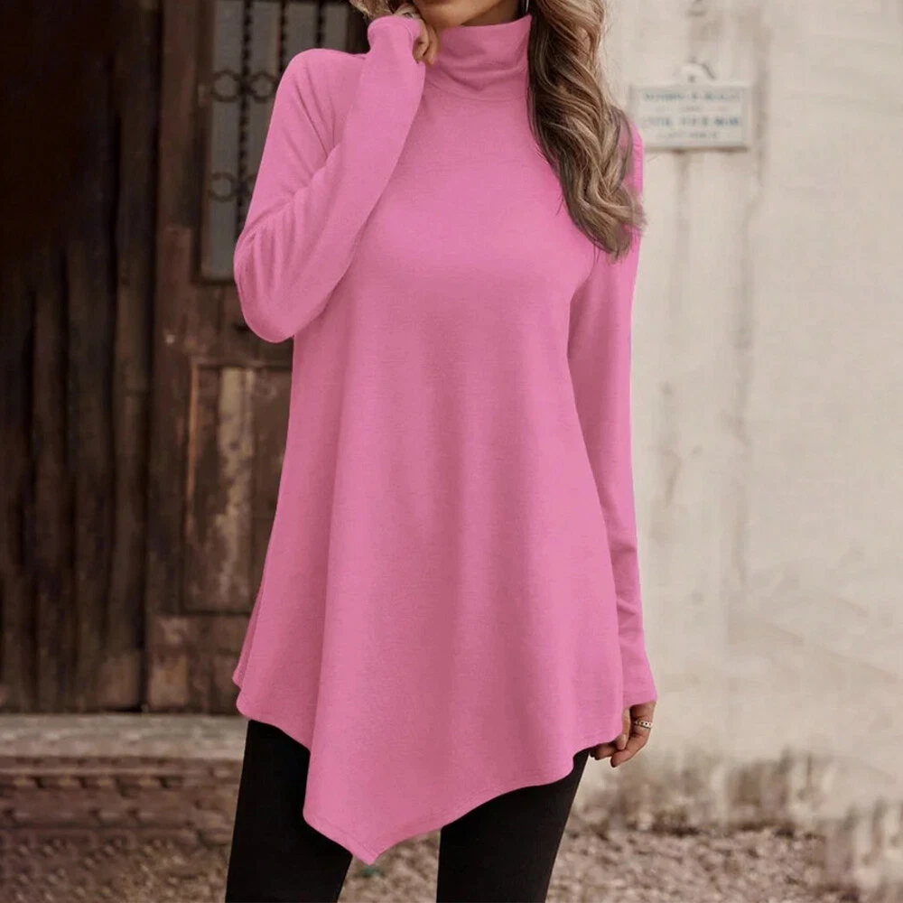 Turtleneck tunic best sale top
