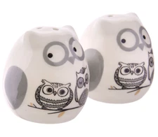 STPGoods Owls Ceramic Salt and Pepper Shaker Set Spice Set