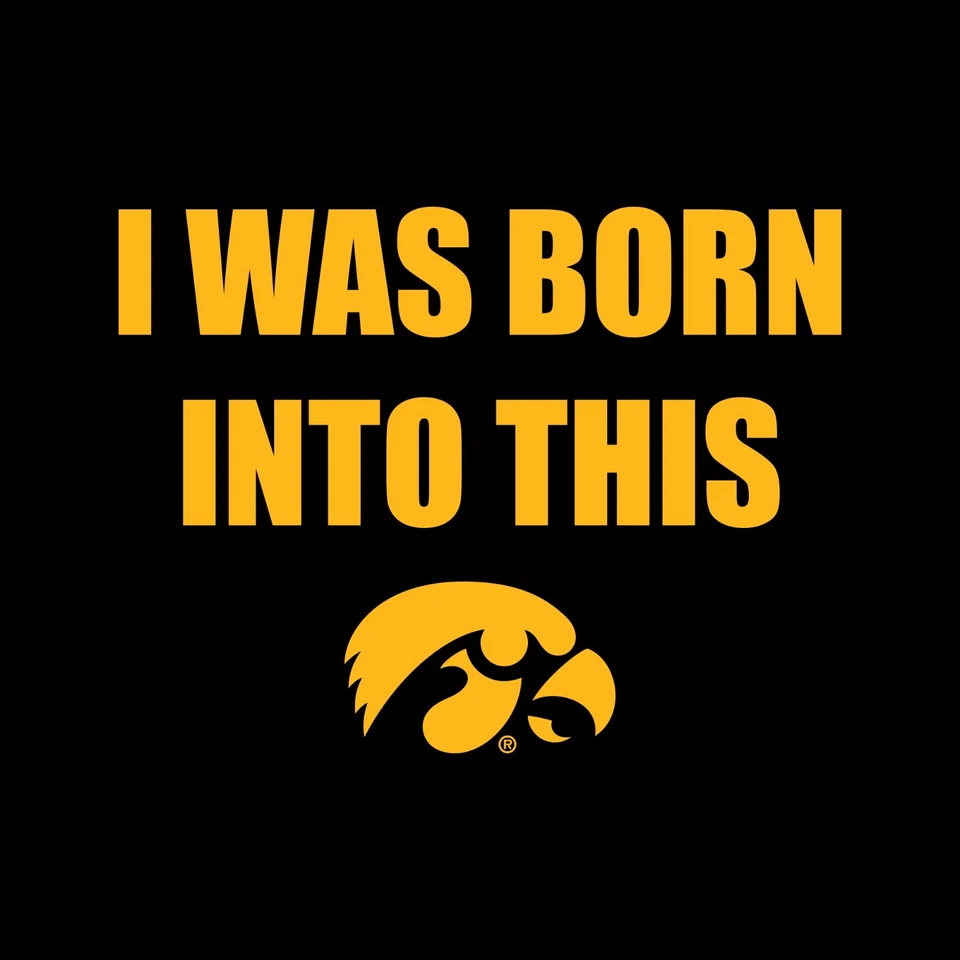 Iowa Hawkeyes Born Into This  Toddler T Shirt - Black - Image 2 of 4
