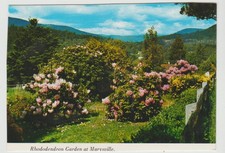 RHODODENDRON GARDEN MARYSVILLE VICTORIA NUCOLORVUE POSTCARD