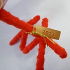 Bild 10 von 11