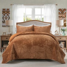 Luxury Velvet Quilt Set Queen Size, Lightweight Velvet Comforter Set, Soft Wa...