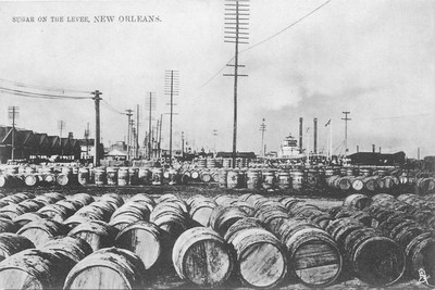 C1905 New Orleans Sugar on the Levee occupation Tuck #1004 Postcard 25-6024
