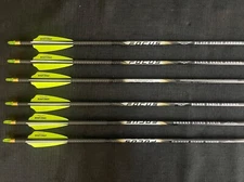 Black Eagle FOCUS .300 .001 Fletched 2.5" Q2I Fusion X-II Super Sorted BRAND NEW
