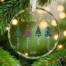 Personalized Family Ornament 2025,Custom Christmas Ornament with Names