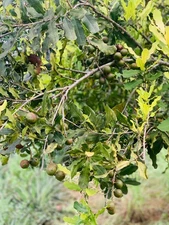 ABD Digital image | picture photo wallpaper background