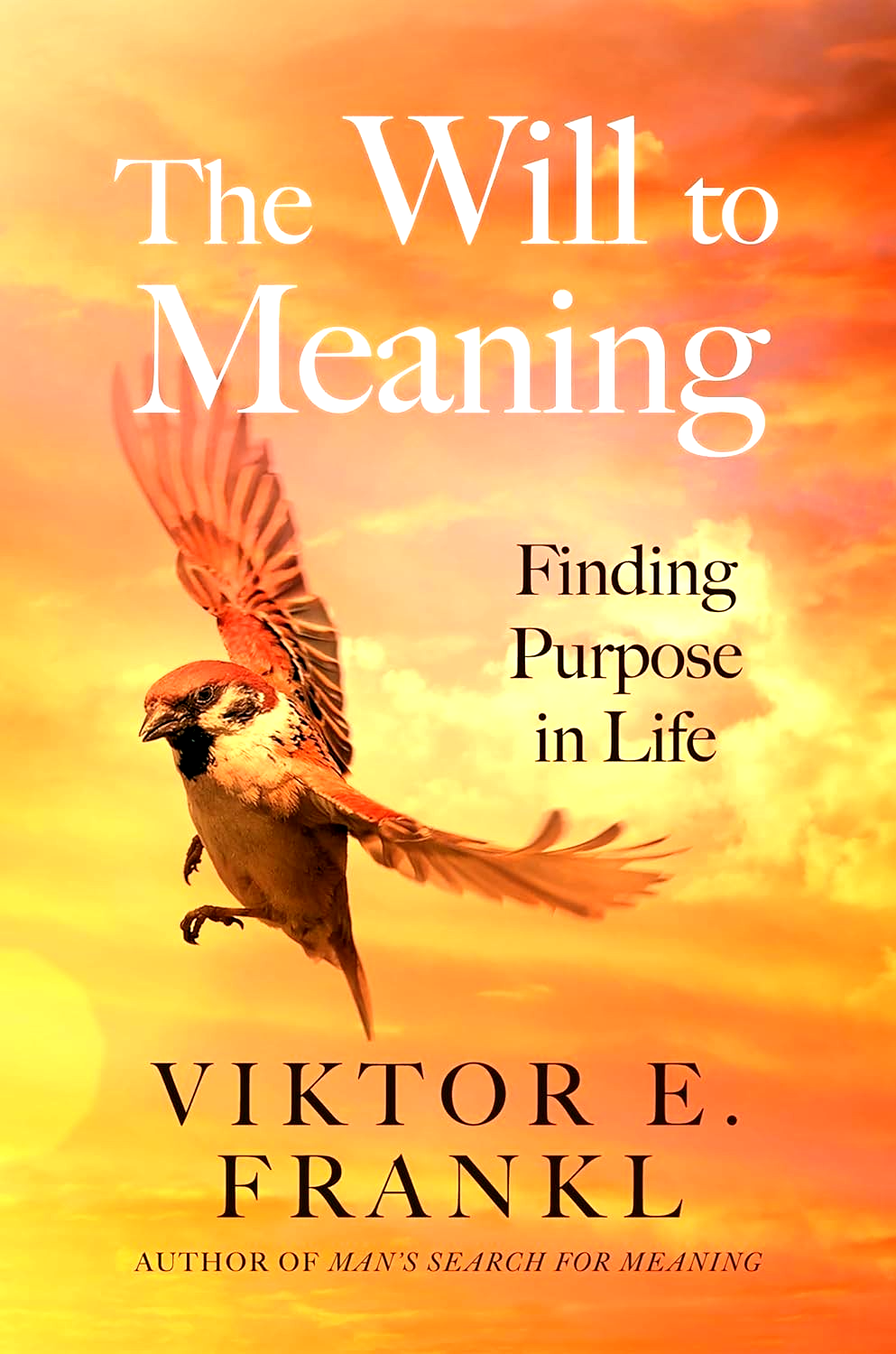 The Will to Meaning: Finding Purpose in Life by Viktor E. Frankl (Paperback) NEW
