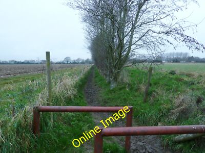 Foto 12x8 von Bäumen gesäumter Fußweg 233 abseits der Old Park Lane Dell Quay c2013