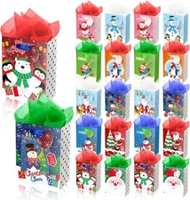 20Pcs Mini Chirstmas Gift Bags with Tissue Paper and Tag, Small Paper Bags with 