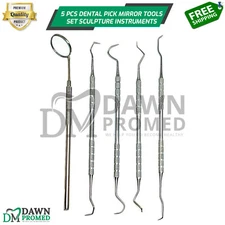 Dental Pick & Mirror Tools Set Sculpture Instrument Oral Hygiene Kit German Gr