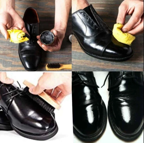 Shining shoes shop with kiwi