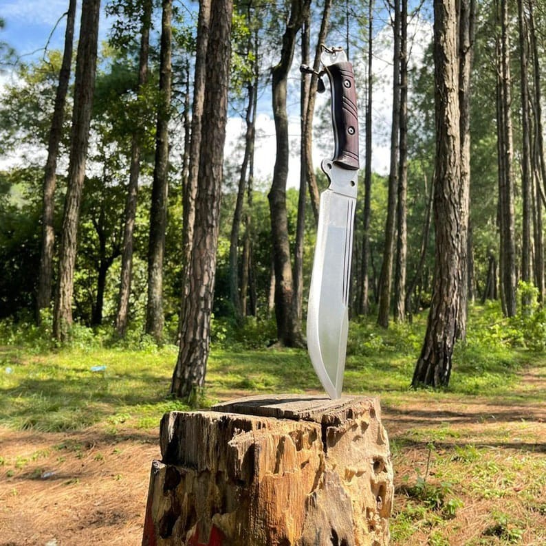 Custom Handmade Carbon Steel Blade Survival Bowie Knife | Hunting Knife Camping