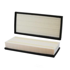 Air Filter-DIESEL Wix 42859