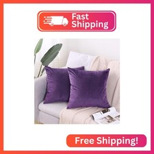 Hibate 2 Pack Soft Velvet Couch Throw Pillow Covers 16x16 Inch for Sofa Living R